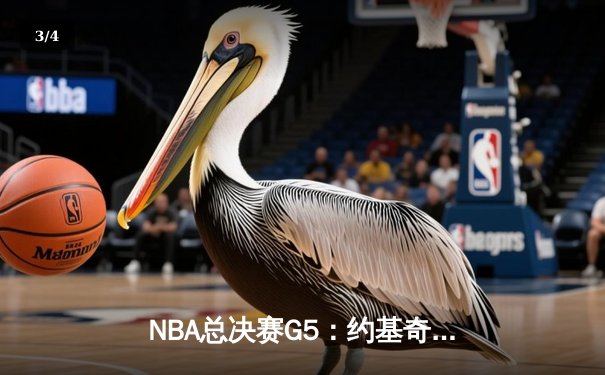 NBA总决赛G5：约基奇30+三双创历史 掘金逆转热火夺赛点 - 3